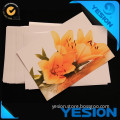 China manufacturer cheap price best quality waterproof 4R bulk color paper dual-side rc base